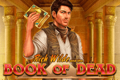 logo book of dead playn go kolikkopeli netissa