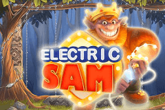 logo electric sam elk