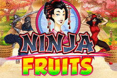 logo ninja fruits playn go kolikkopeli netissa