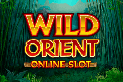 logo wild orient microgaming kolikkopeli netissa