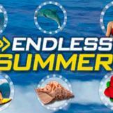 Endless Summer logo