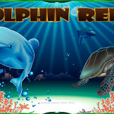 Dolphin Reef logo