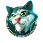 Cat 2 img