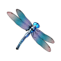 Dragonfly img