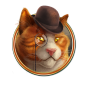 Cat 1 img