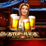 Stein Haus logo