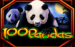 logo 100 pandas igt 1 