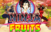 logo ninja fruits playn go kolikkopeli 