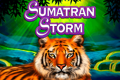 logo sumatran storm igt kolikkopeli 