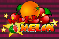 logo wild melon playn go kolikkopeli 