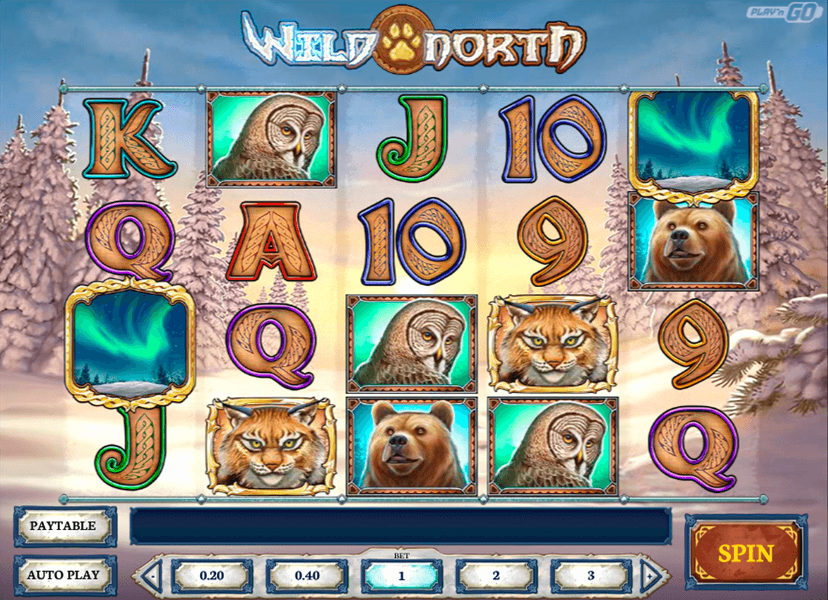 wild north playn go casino 