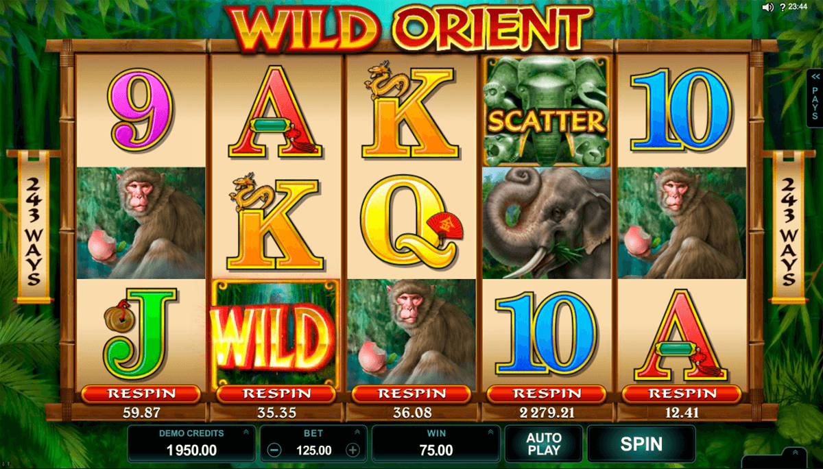 wild orient microgaming casino 