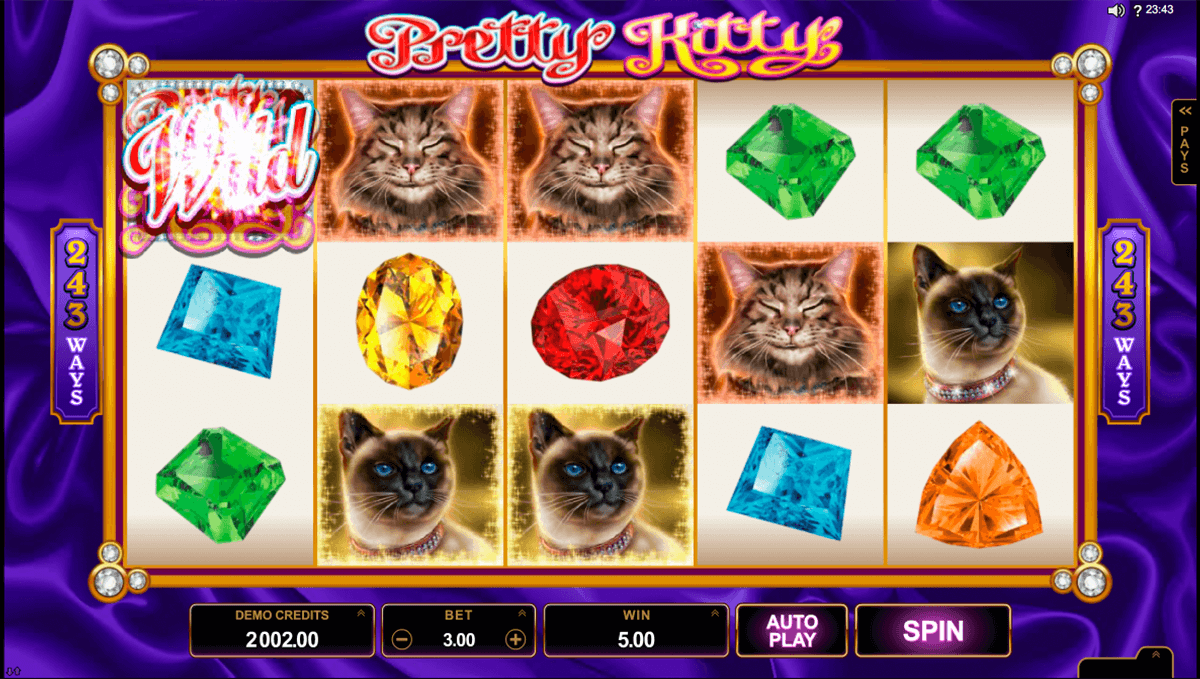 win sum dim sum microgaming casino 